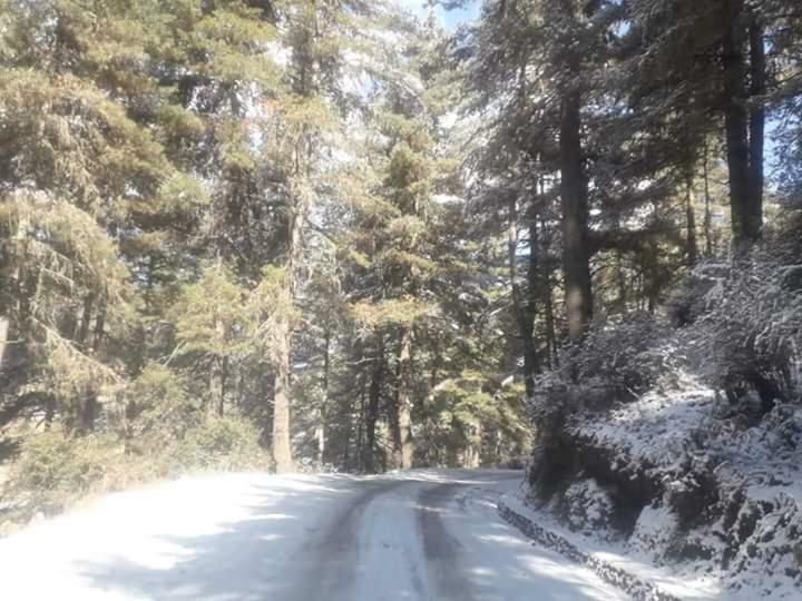 Odiyana Hotel Gangtey Gonpa Luaran gambar